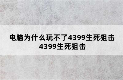 电脑为什么玩不了4399生死狙击 4399生死狙击